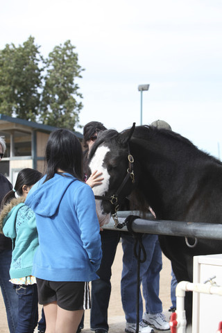 2012-2013 Farm Tours