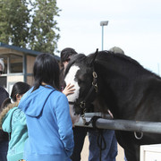 2012-2013 Farm Tours