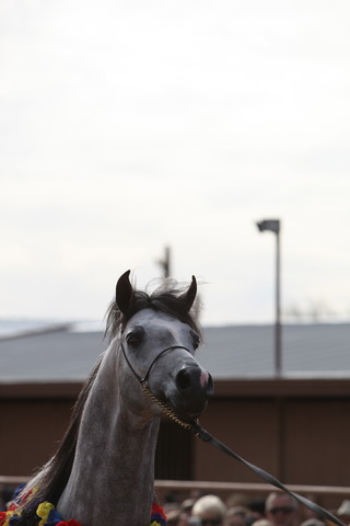 2012-2013 Farm Tours