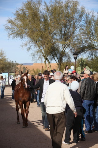 2012-2013 Farm Tours