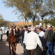 2012-2013 Farm Tours