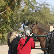2012-2013 Farm Tours