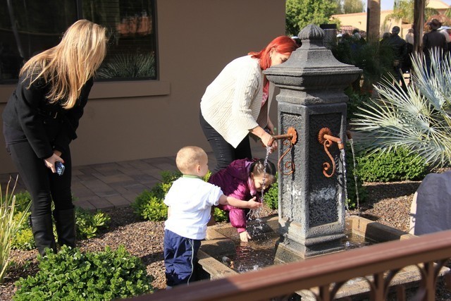 Photo Credit: Maureen Kovacs