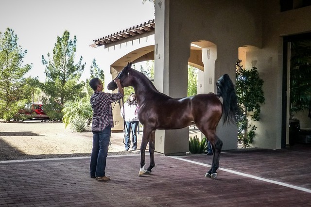 Photo Credit: Maureen Kovacs