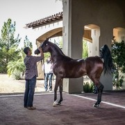 Photo Credit: Maureen Kovacs