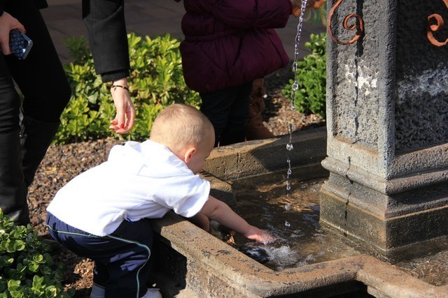 Photo Credit: Maureen Kovacs