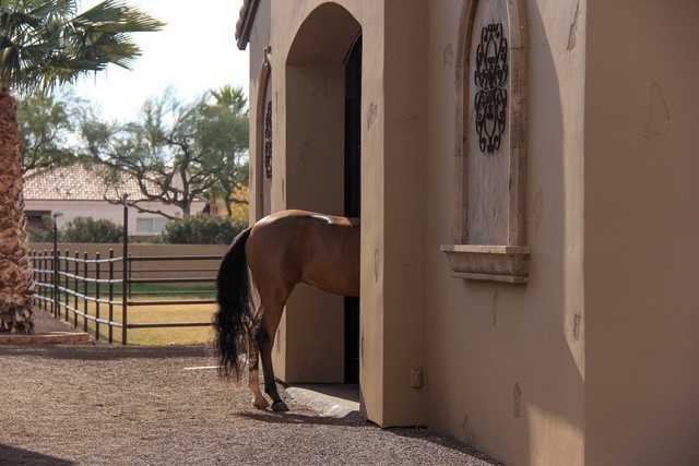 Photo Credit: Maureen Kovacs