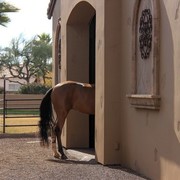 Photo Credit: Maureen Kovacs