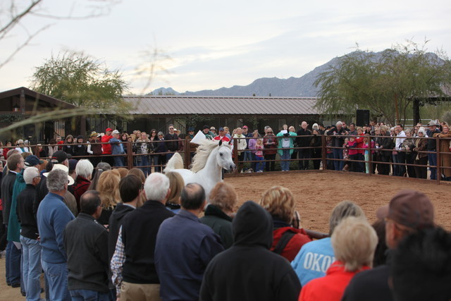 2012-2013 Farm Tours