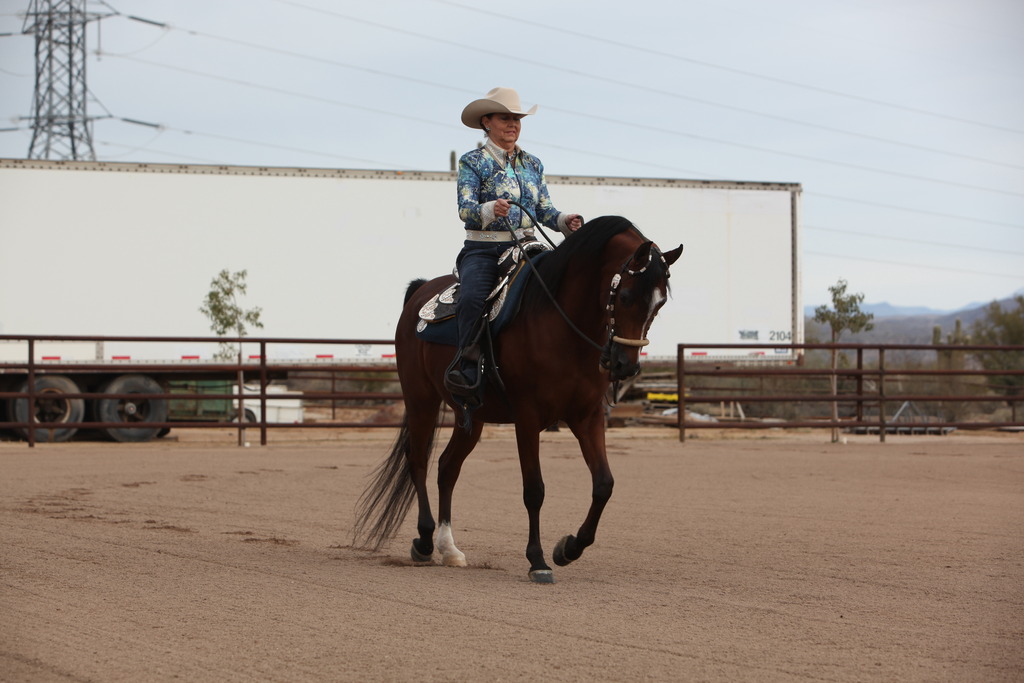 2012-2013 Farm Tours