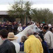 2012-2013 Farm Tours