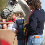 2012-2013 Farm Tours