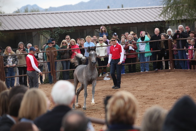 2012-2013 Farm Tours