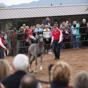 2012-2013 Farm Tours