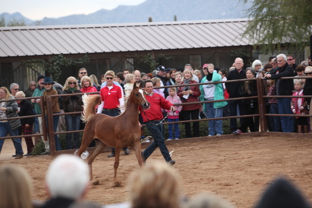 2012-2013 Farm Tours