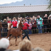 2012-2013 Farm Tours