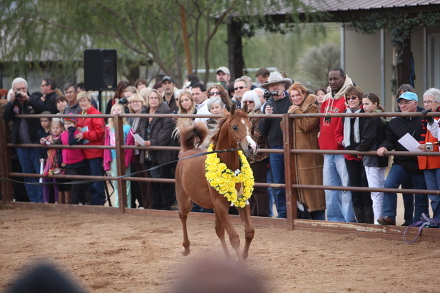 2012-2013 Farm Tours
