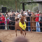 2012-2013 Farm Tours