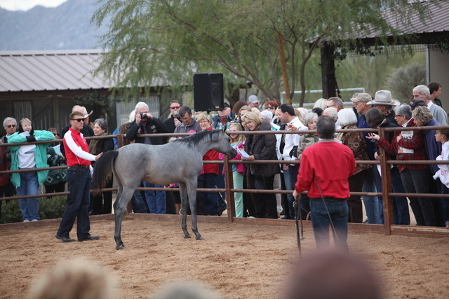 2012-2013 Farm Tours