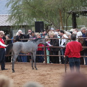2012-2013 Farm Tours
