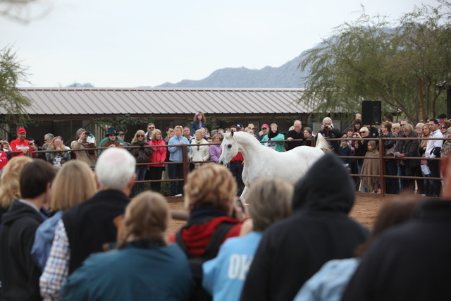 2012-2013 Farm Tours