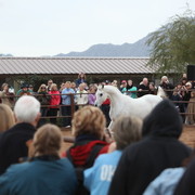 2012-2013 Farm Tours