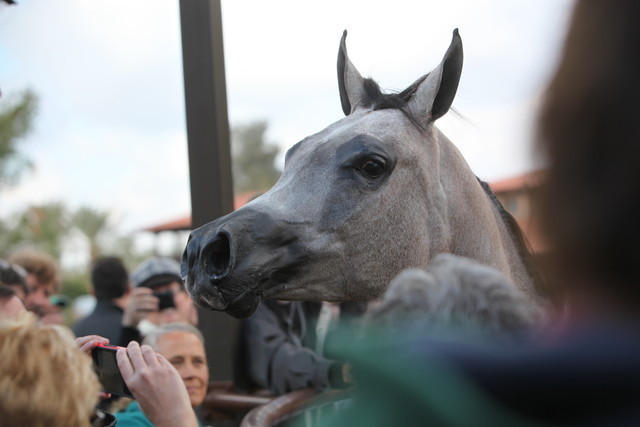 2012-2013 Farm Tours