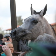2012-2013 Farm Tours