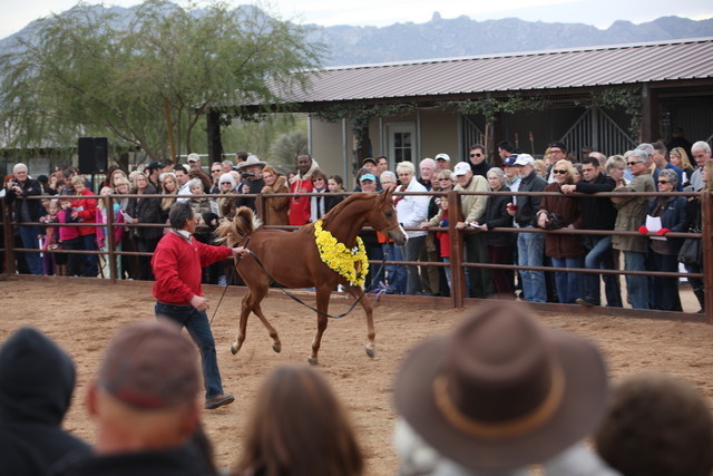 2012-2013 Farm Tours