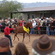 2012-2013 Farm Tours