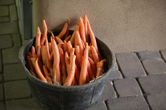 2012-2013 Farm Tours