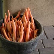 2012-2013 Farm Tours