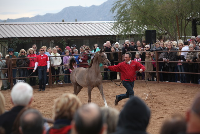 2012-2013 Farm Tours