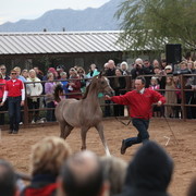 2012-2013 Farm Tours