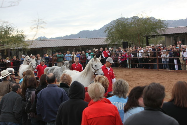 2012-2013 Farm Tours