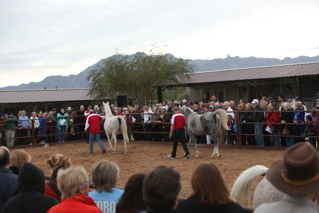 2012-2013 Farm Tours