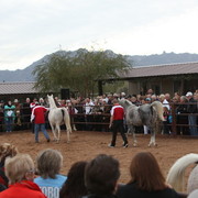 2012-2013 Farm Tours