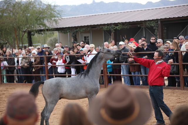 2012-2013 Farm Tours