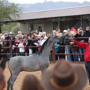 2012-2013 Farm Tours