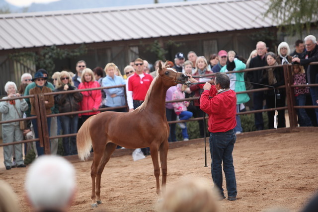 2012-2013 Farm Tours