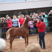 2012-2013 Farm Tours