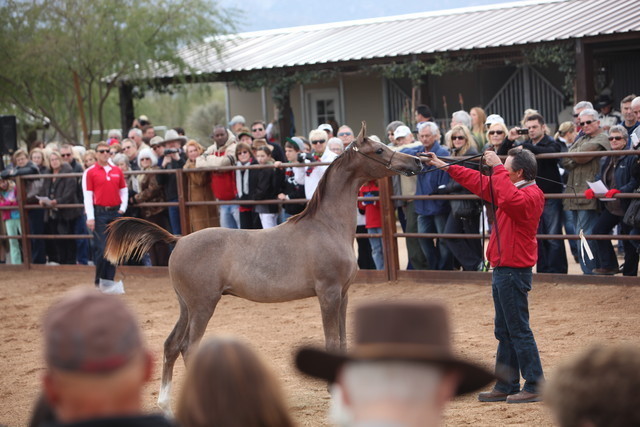 2012-2013 Farm Tours