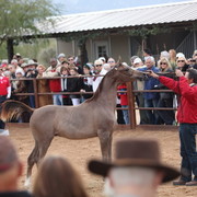 2012-2013 Farm Tours