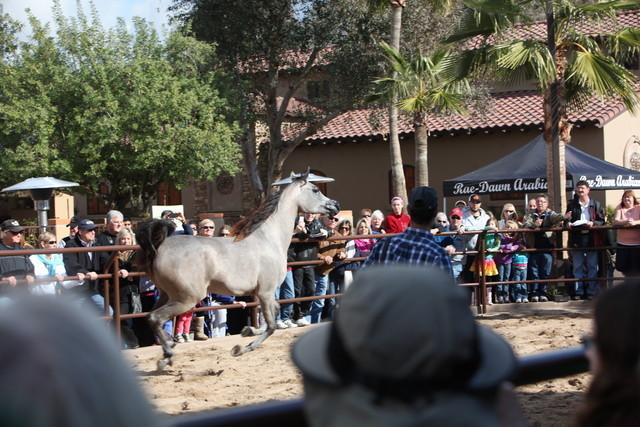 2012-2013 Farm Tours
