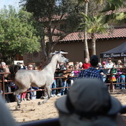 2012-2013 Farm Tours