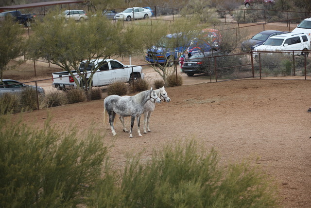 2012-2013 Farm Tours