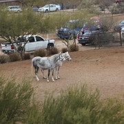 2012-2013 Farm Tours
