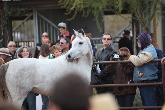 2012-2013 Farm Tours