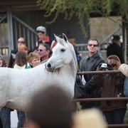 2012-2013 Farm Tours