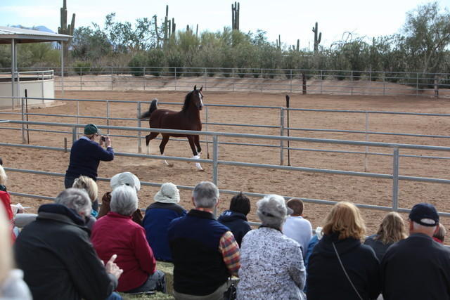 2012-2013 Farm Tours